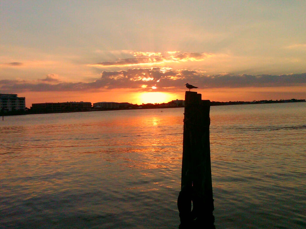 Charlotte Harbor Sunset