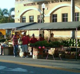 Punta Gorda downtown farmers market